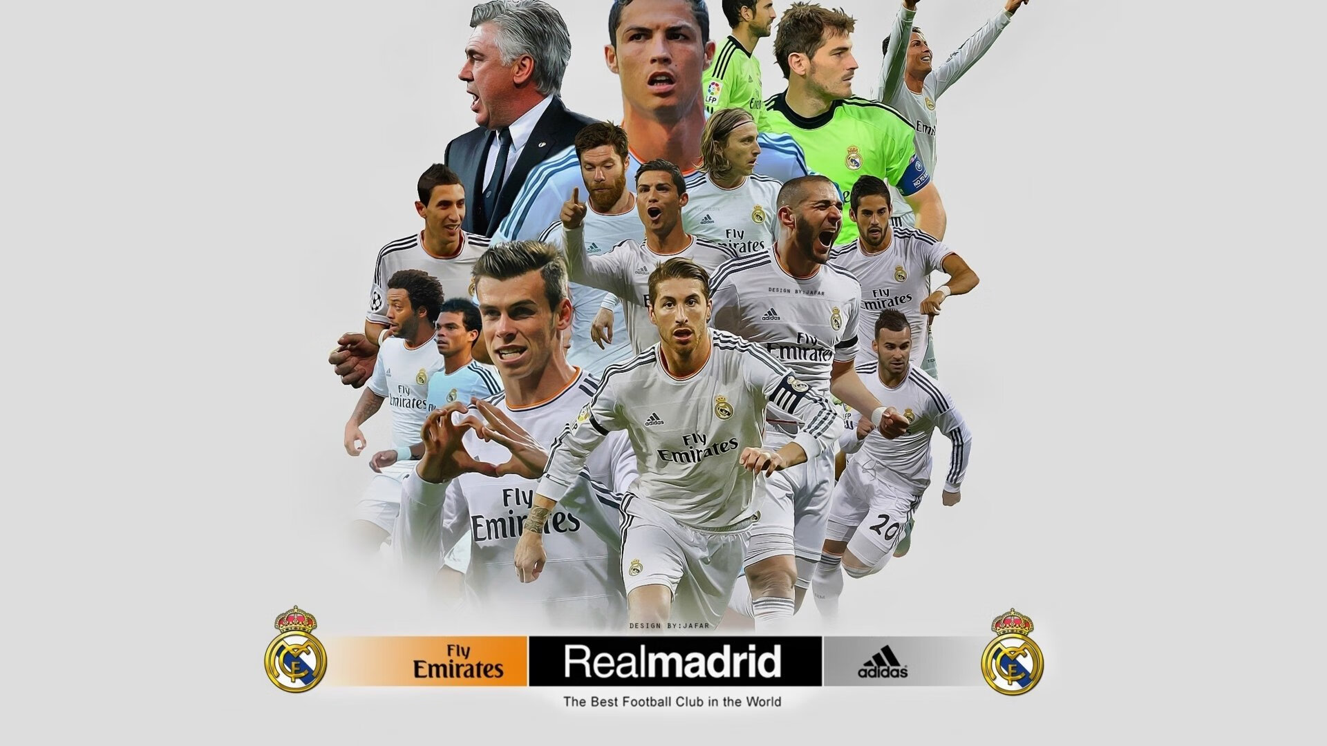 自由泳中长距离多点开花，自由泳长距离游技术